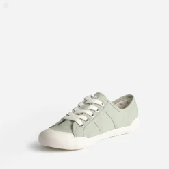 Tennis sauge en toile^Tbs New