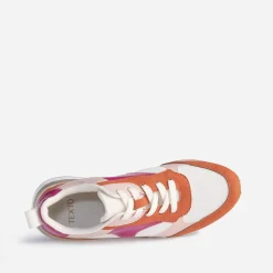 Tennis beige et terracotta à détails vernis s^Texto Outlet